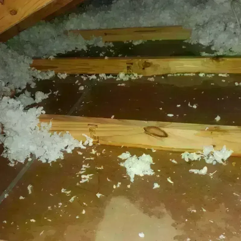 Attic Water Damage in Jefferson, VA