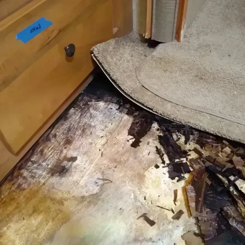 Wood Floor Water Damage in Jefferson, VA